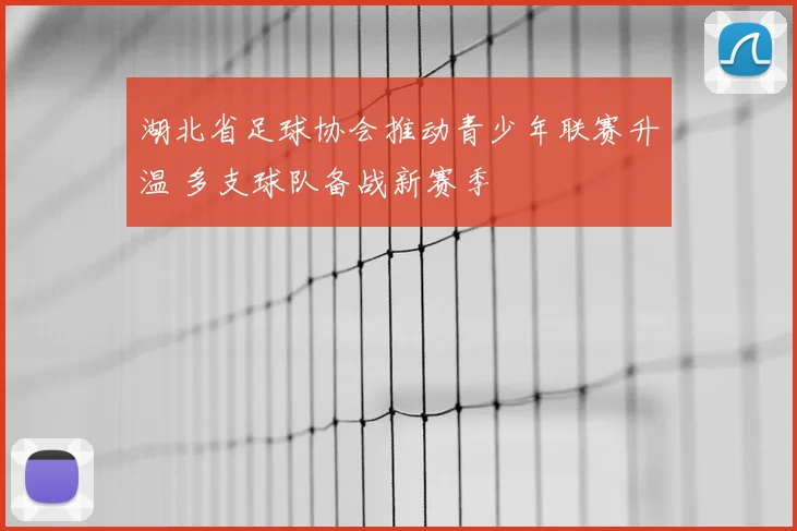 湖北省足球协会推动青少年联赛升温 多支球队备战新赛季