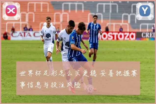 世界杯足彩怎么买更稳 妥善把握赛事信息与投注风险