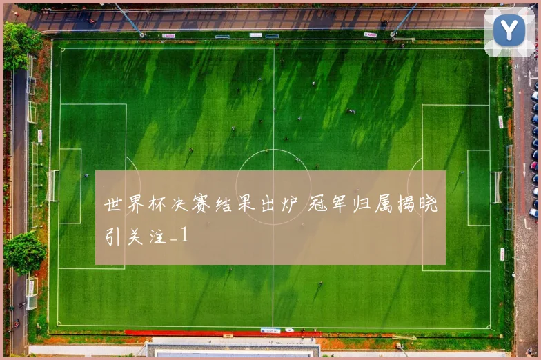 世界杯决赛结果出炉 冠军归属揭晓引关注_1