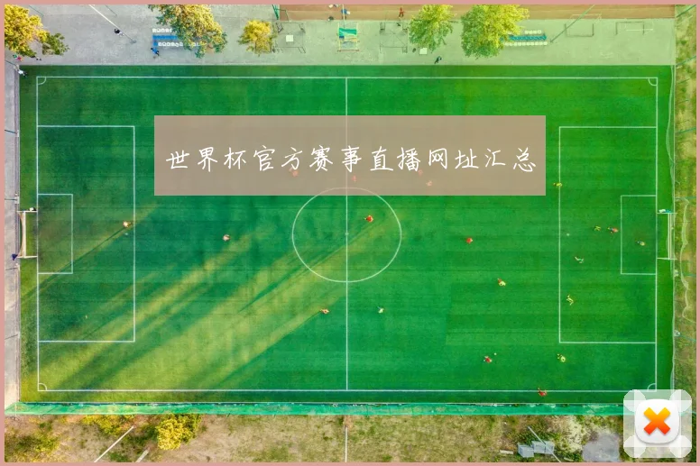 世界杯官方赛事直播网址汇总