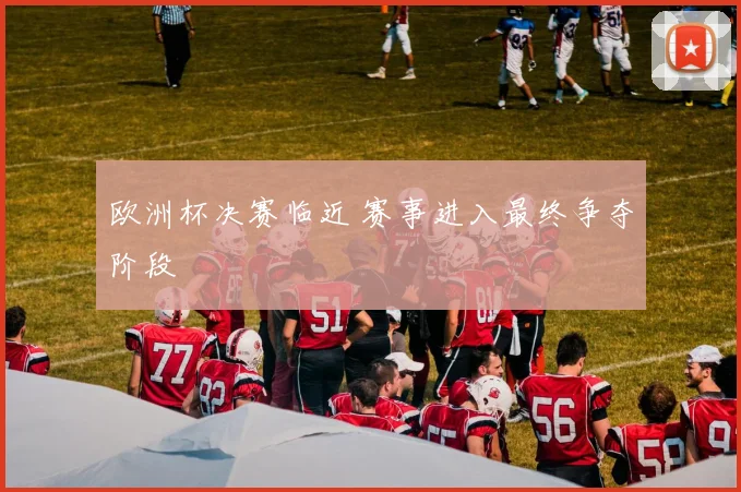 欧洲杯决赛临近 赛事进入最终争夺阶段
